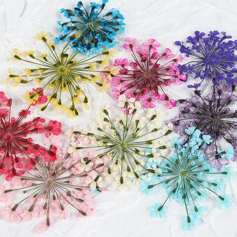 3D Dried Flowers