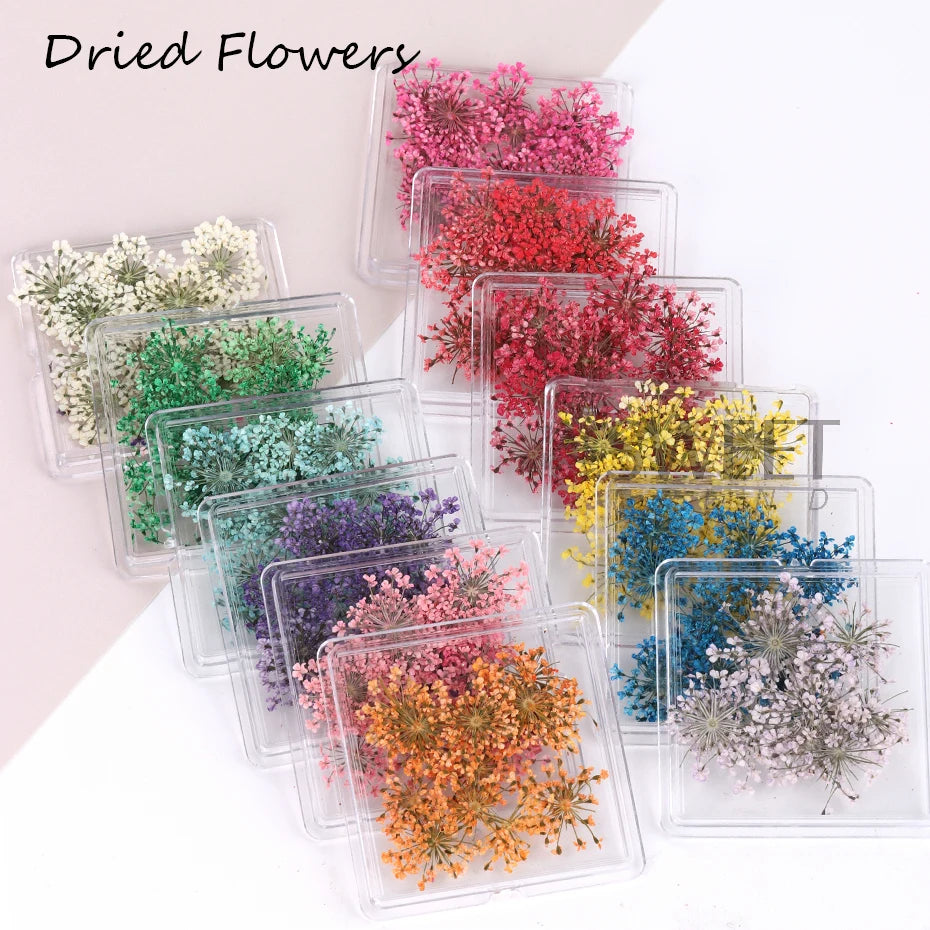 3D Real Dried Flowers